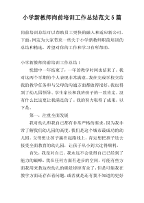 小学新教师岗前培训工作总结范文5篇