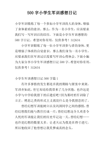 500字小学生军训感想日记