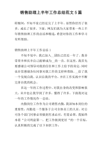 销售助理上半年工作总结范文5篇