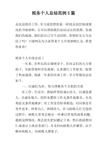 税务个人总结范例5篇
