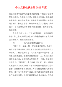 个人支教收获总结2022年度