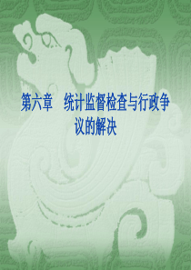 第六章统计执法检查与行政争议的解决