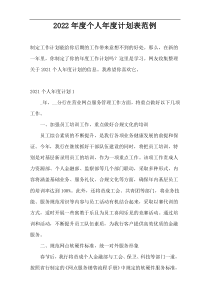 2022年度个人年度计划表范例