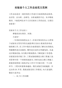 实验室个人工作总结范文范例