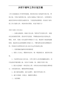 乡村干部年工作计划方案