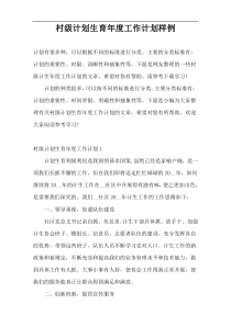 村级计划生育年度工作计划样例