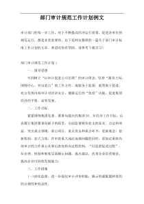 部门审计规范工作计划例文
