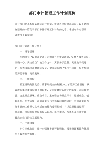 部门审计管理工作计划范例