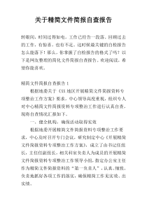 关于精简文件简报自查报告