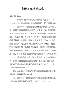 宣传方案样例格式