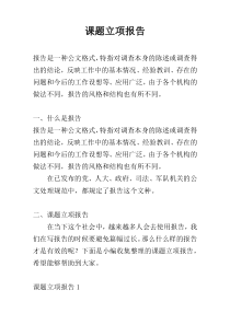 课题立项报告