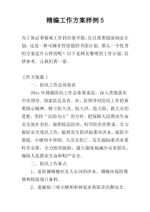 精编工作方案样例5