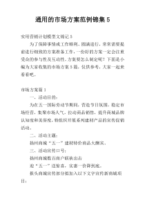 通用的市场方案范例锦集5
