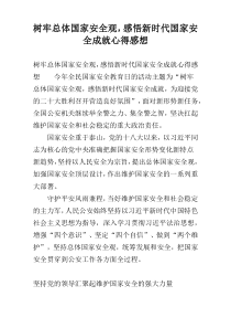 树牢总体国家安全观，感悟新时代国家安全成就心得感想