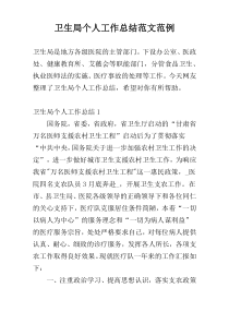卫生局个人工作总结范文范例