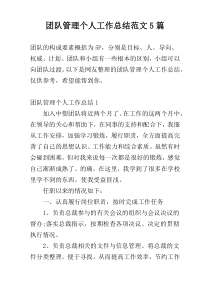 团队管理个人工作总结范文5篇