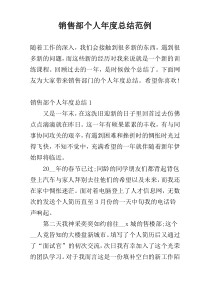 销售部个人年度总结范例