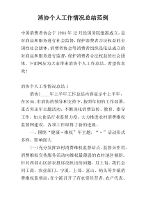 消协个人工作情况总结范例