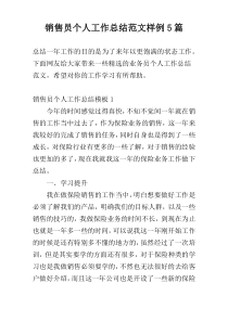 销售员个人工作总结范文样例5篇