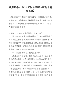 试用期个人2022工作总结范文范例【精编4篇】