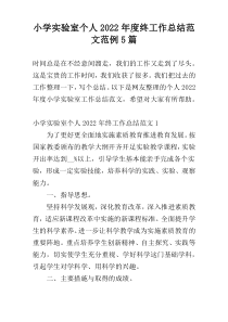 小学实验室个人2022年度终工作总结范文范例5篇