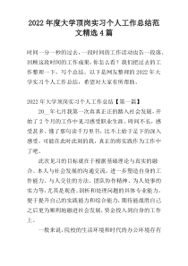 2022年度大学顶岗实习个人工作总结范文精选4篇