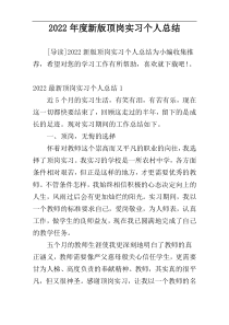 2022年度新版顶岗实习个人总结