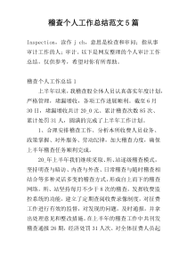 稽查个人工作总结范文5篇