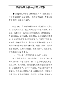 干部挂职心得体会范文范例