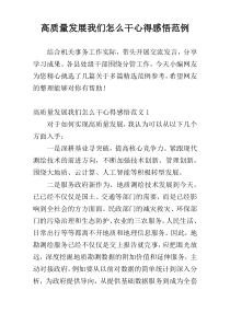 高质量发展我们怎么干心得感悟范例