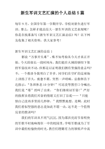 新生军训文艺汇演的个人总结5篇