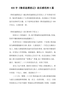 800字《鲁滨逊漂流记》读后感范例5篇