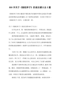 800字关于《骆驼祥子》的读后感大全5篇