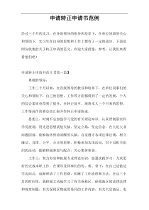 申请转正申请书范例