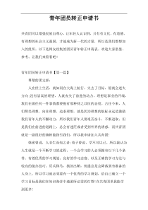 青年团员转正申请书