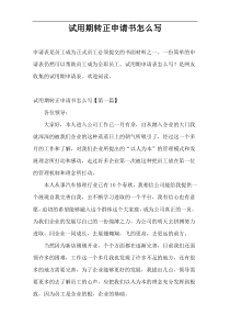 试用期转正申请书怎么写
