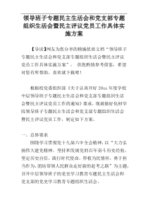 领导班子专题民主生活会和党支部专题组织生活会暨民主评议党员工作具体实施方案