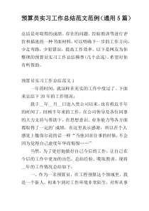 预算员实习工作总结范文范例（通用5篇）