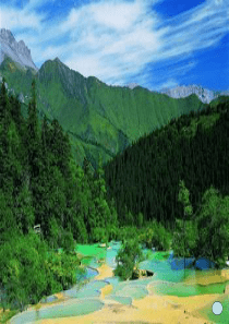 上课用分析人类活动对生态环境的影响