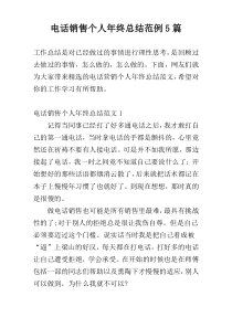 电话销售个人年终总结范例5篇