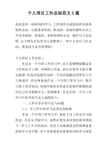 个人项目工作总结范文5篇