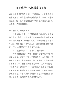青年教师个人规划总结5篇