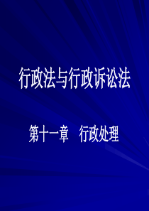 行政法与行政诉讼法(11-2)