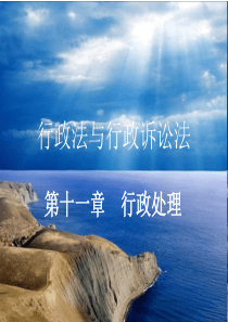 行政法与行政诉讼法(11-3)