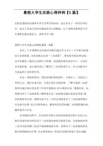 暑假大学生实践心得样例【5篇】