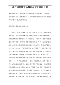银行岗前培训心得体会范文范例5篇