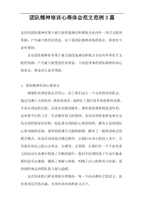 团队精神培训心得体会范文范例3篇