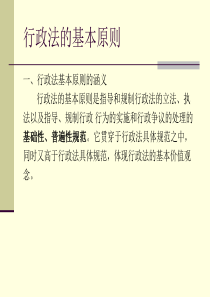 行政法基本原则