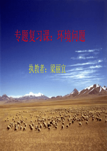 专题复习课环境问题