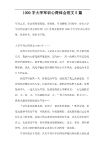 [1000字]大学军训心得体会范文5篇